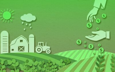 Crédito com Garantia de Imóvel Rural: Usando a Propriedade para Alavancar o Agronegócio